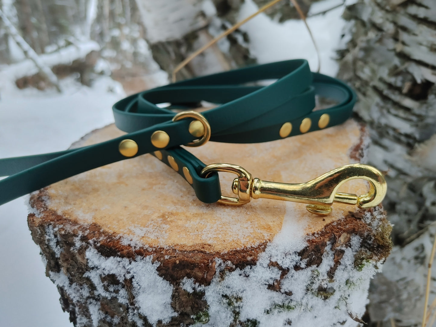 Biothane Leash