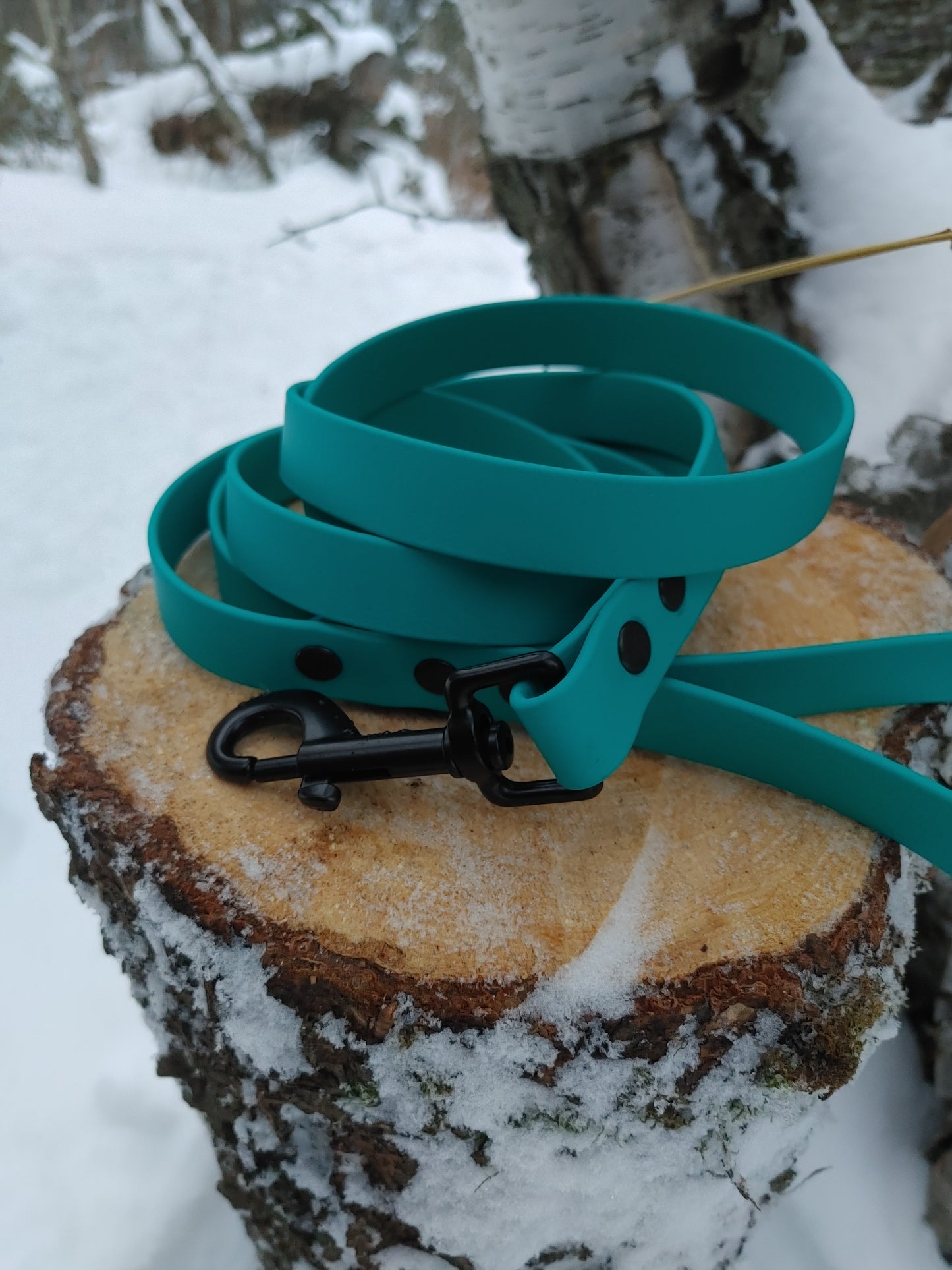 Biothane Leash